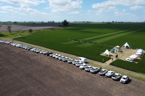 Urdinarrain: Jornada Demostrativa a Campo de Trigo 2023 de Berardo Agropecuaria