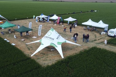 Urdinarrain: Jornada Demostrativa a Campo de Trigo 2023 de Berardo Agropecuaria