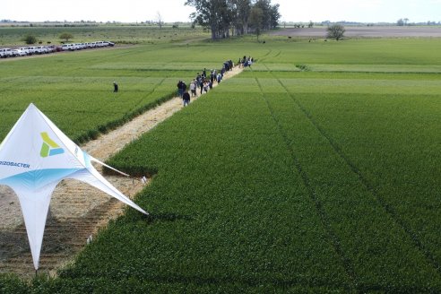 Urdinarrain: Jornada Demostrativa a Campo de Trigo 2023 de Berardo Agropecuaria