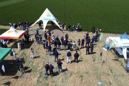 Urdinarrain: Jornada Demostrativa a Campo de Trigo 2023 de Berardo Agropecuaria