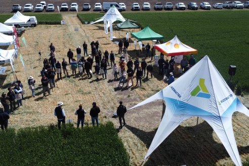 Urdinarrain: Jornada Demostrativa a Campo de Trigo 2023 de Berardo Agropecuaria