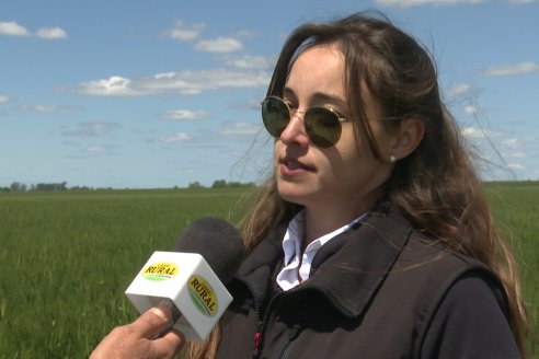 Urdinarrain: Jornada Demostrativa a Campo de Trigo 2023 de Berardo Agropecuaria