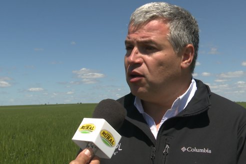 Urdinarrain: Jornada Demostrativa a Campo de Trigo 2023 de Berardo Agropecuaria