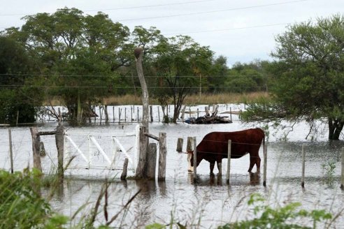 Entre Ríos: hay que prepararse para más lluvias abundantes durante los próximos siete días