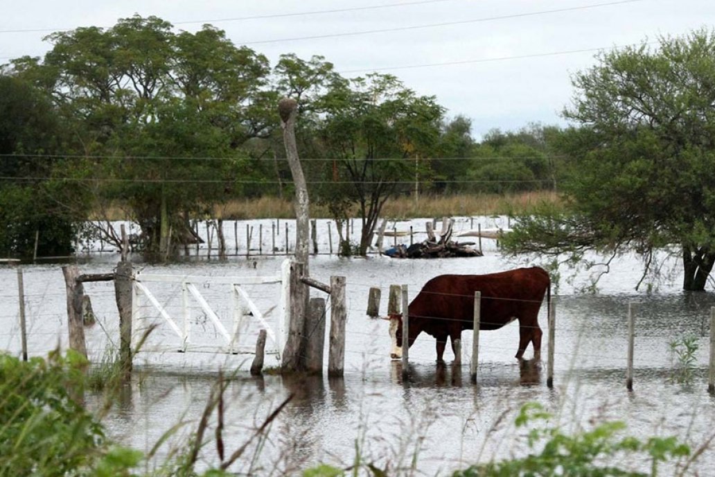 La Bolsa porteña dio cuenta de un pronóstico de corto plazo con mucha agua.