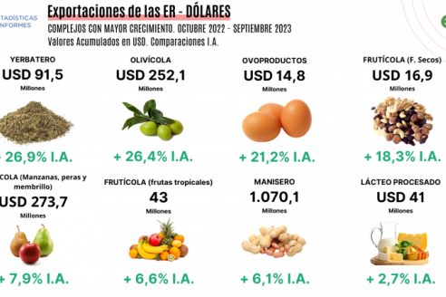 Los productos de las economías regionales pierden mercados