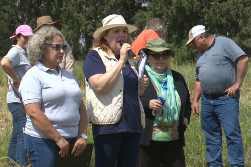 Ensayos de Larga Duración - EEA INTA Paraná - Una visión de los agroecosistemas del futuro