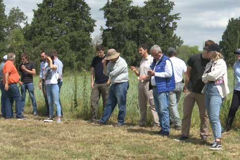 Ensayos de Larga Duración - EEA INTA Paraná - Una visión de los agroecosistemas del futuro