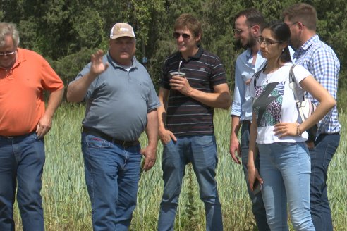 Ensayos de Larga Duración - EEA INTA Paraná - Una visión de los agroecosistemas del futuro