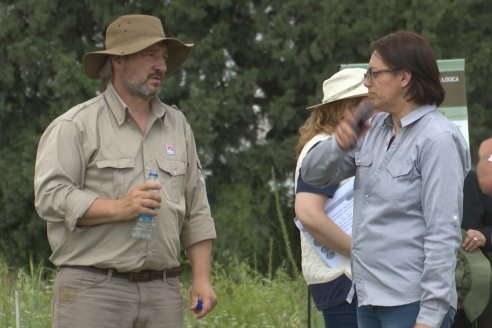 Ensayos de Larga Duración - EEA INTA Paraná - Una visión de los agroecosistemas del futuro