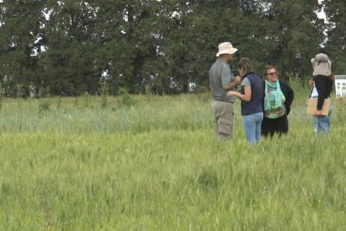 Ensayos de Larga Duración - EEA INTA Paraná - Una visión de los agroecosistemas del futuro