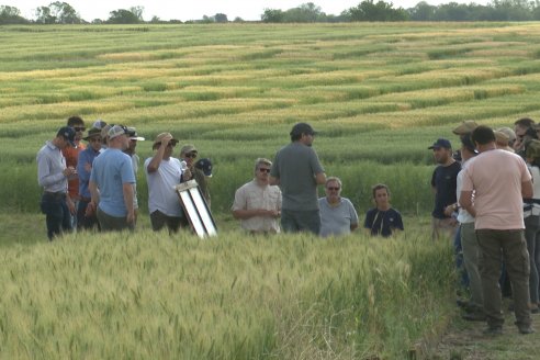 Ensayos de Larga Duración - EEA INTA Paraná - Una visión de los agroecosistemas del futuro