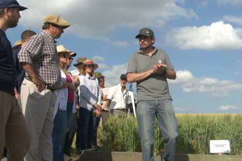 Ensayos de Larga Duración - EEA INTA Paraná - Una visión de los agroecosistemas del futuro