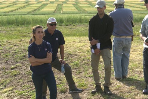 Ensayos de Larga Duración - EEA INTA Paraná - Una visión de los agroecosistemas del futuro