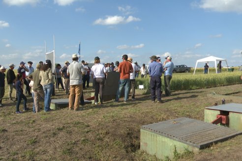 Ensayos de Larga Duración - EEA INTA Paraná - Una visión de los agroecosistemas del futuro