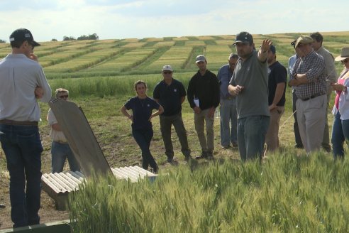 Ensayos de Larga Duración - EEA INTA Paraná - Una visión de los agroecosistemas del futuro