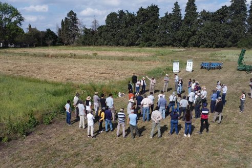 Ensayos de Larga Duración - EEA INTA Paraná - Una visión de los agroecosistemas del futuro