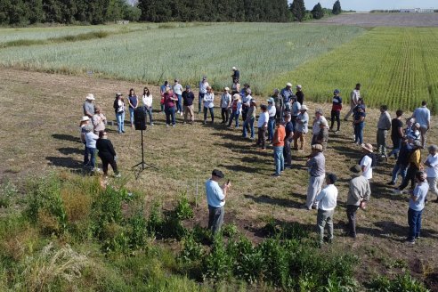 Ensayos de Larga Duración - EEA INTA Paraná - Una visión de los agroecosistemas del futuro