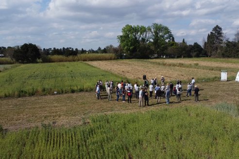 Ensayos de Larga Duración - EEA INTA Paraná - Una visión de los agroecosistemas del futuro