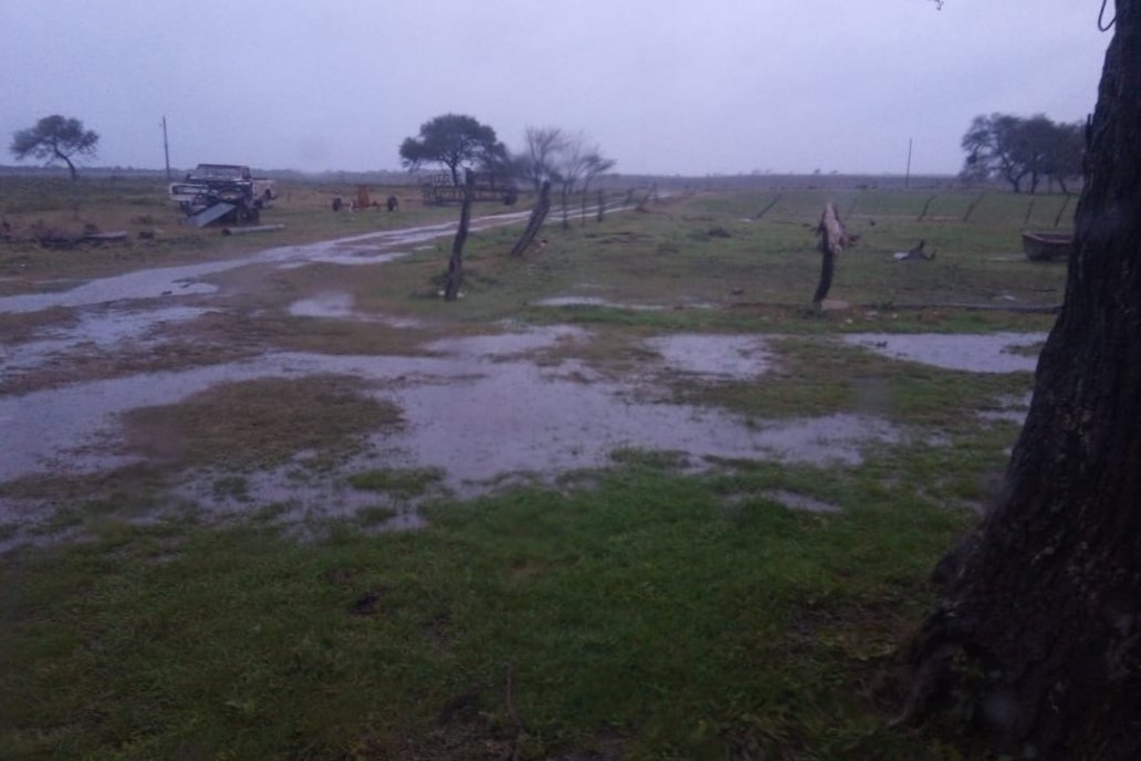 Fotos Grupo Lluvia