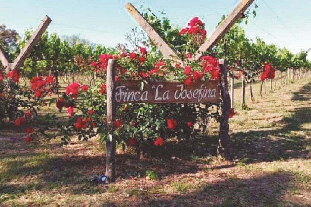 Finca La Josefina de Lucas González - Depto. Nogoyá