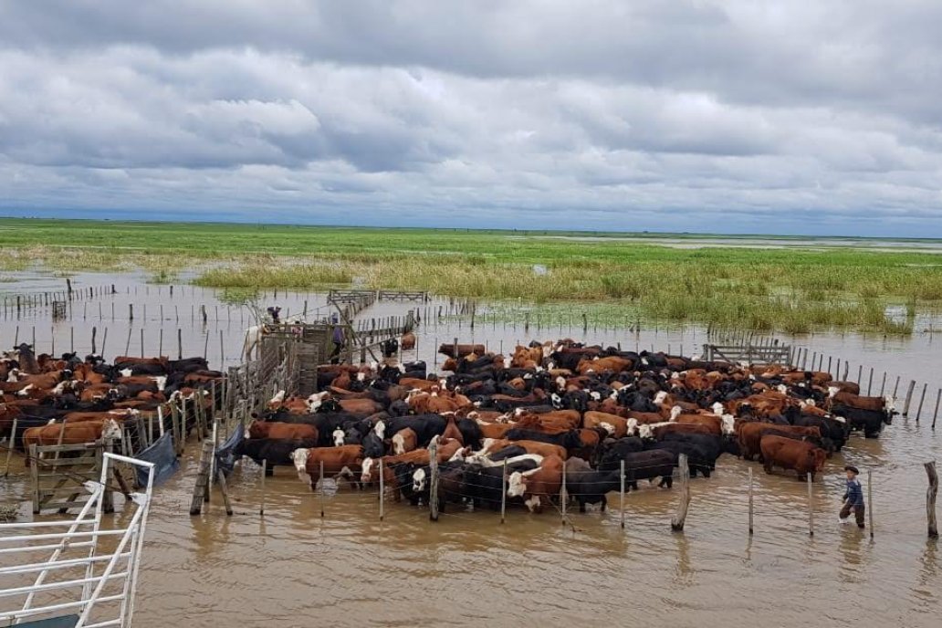 Primero los tres años de sequía, y ahora las lluvias castigan al sector.