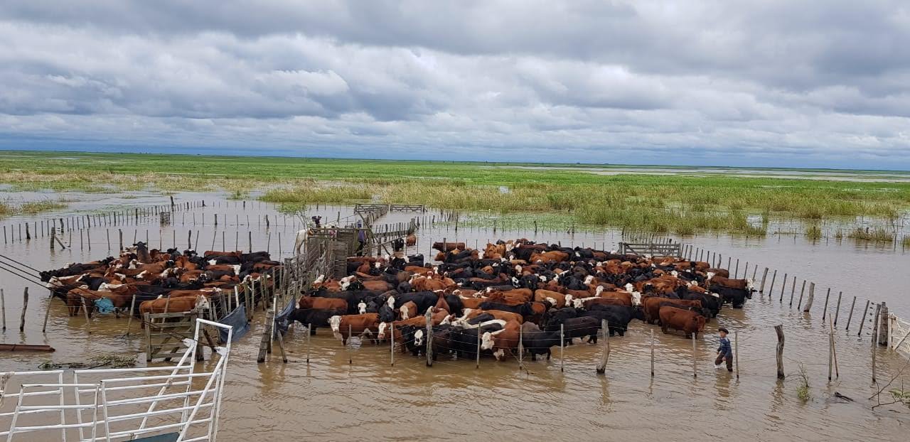 Crecen peligrosamente las posibilidades de atravesar en breve un ciclo de grandes cambios climáticos