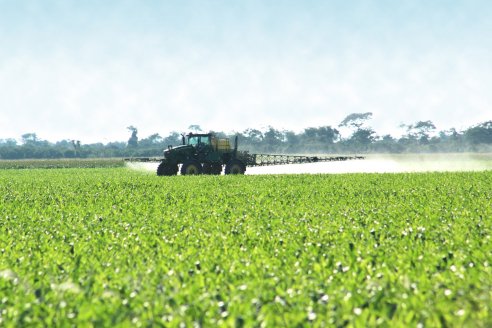 Sastre: La Corte convalidó los 1.000 metros libres de agroquímicos