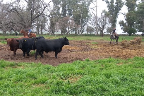 70 mil pesos para desempleados rurales