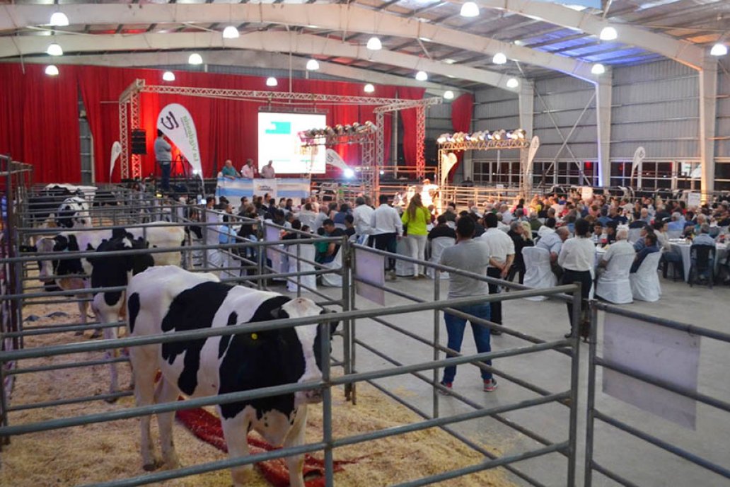 El precio récord de $ 20.200.000, fue para un toro genómico de La Vigilancia El precio récord de $ 20.200.000, fue para un toro genómico de La Vigilancia