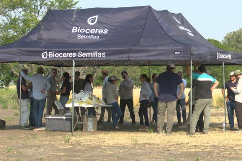 Jornada Tecnica a Campo de Trigo de COOPAR en Don Cristobal II