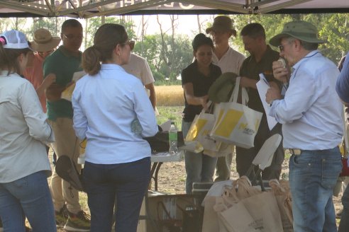 Jornada Tecnica a Campo de Trigo de COOPAR en Don Cristobal II