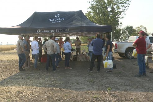 Jornada Tecnica a Campo de Trigo de COOPAR en Don Cristobal II