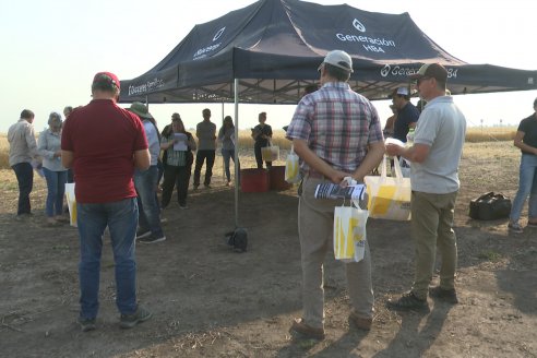 Jornada Tecnica a Campo de Trigo de COOPAR en Don Cristobal II