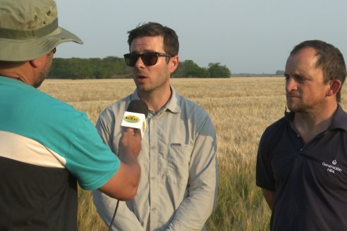 Jornada Tecnica a Campo de Trigo de COOPAR en Don Cristobal II