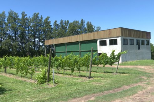 Visita de AEPA a la Bodega Vulliez Sermet - Colón - Entre Ríos