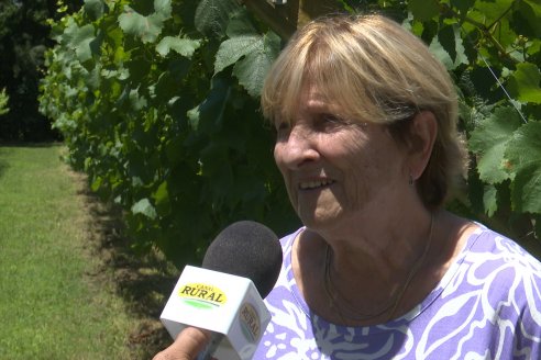 Visita de AEPA a la Bodega Vulliez Sermet - Colón - Entre Ríos