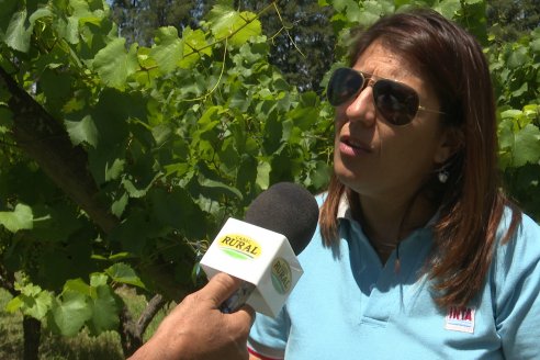 Visita de AEPA a la Bodega Vulliez Sermet - Colón - Entre Ríos