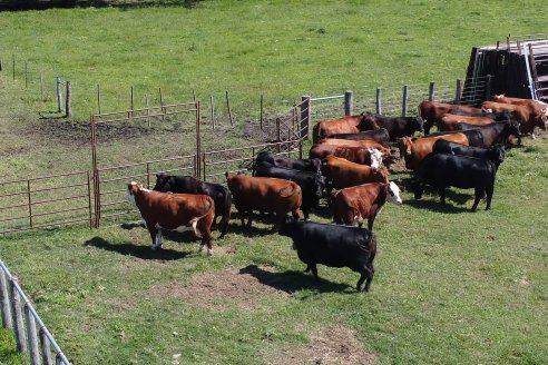 Visita de AEPA a Cabaña Los Primos - Colón - Entre Ríos