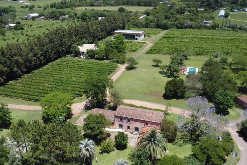 Visita de AEPA a la Bodega Vulliez Sermet - Colón - Entre Ríos