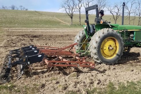 Aplicando labranza cero incrementan los rendimientos de la horticultura