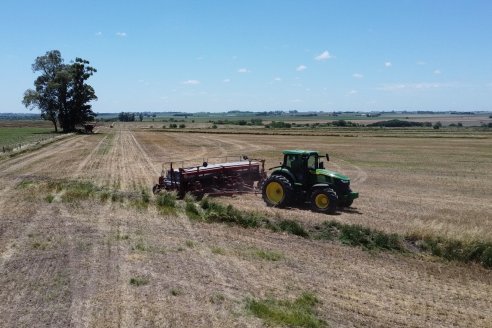 Con y sin terrazas: comparan rindes en campos entrerrianos