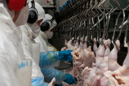 Entre Ríos beneficiada: Japón vuelve a impotar carne fresca aviar