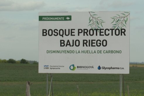 Bio Nogoya - Proyecto de Forestación