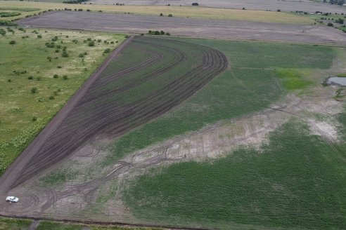 Bio Nogoya - Proyecto de Forestación