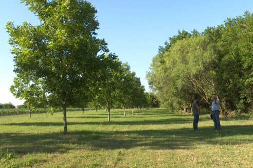 Visita a Fisolo Viñedo y Bodega - Maria Luisa, Entre Ríos - Elaboración de vinos espumosos bajo el método tradicional