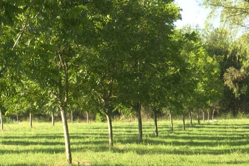 Visita a Fisolo Viñedo y Bodega - Maria Luisa, Entre Ríos - Elaboración de vinos espumosos bajo el método tradicional