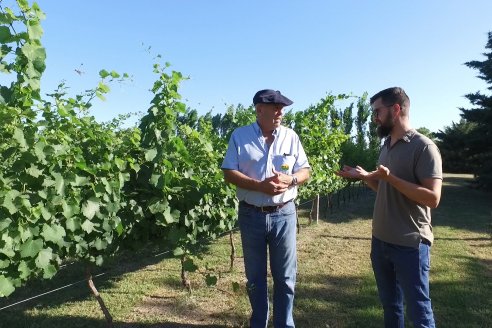 Visita a Fisolo Viñedo y Bodega - Maria Luisa, Entre Ríos - Elaboración de vinos espumosos bajo el método tradicional