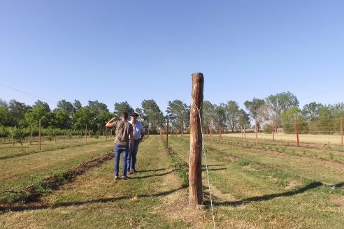 Visita a Fisolo Viñedo y Bodega - Maria Luisa, Entre Ríos - Elaboración de vinos espumosos bajo el método tradicional