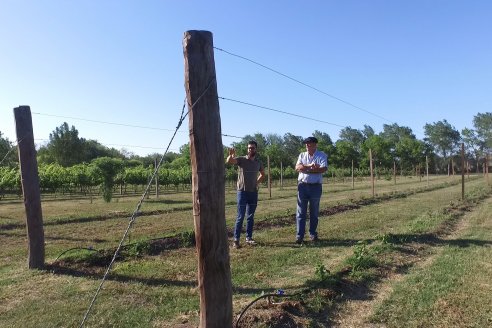 Visita a Fisolo Viñedo y Bodega - Maria Luisa, Entre Ríos - Elaboración de vinos espumosos bajo el método tradicional